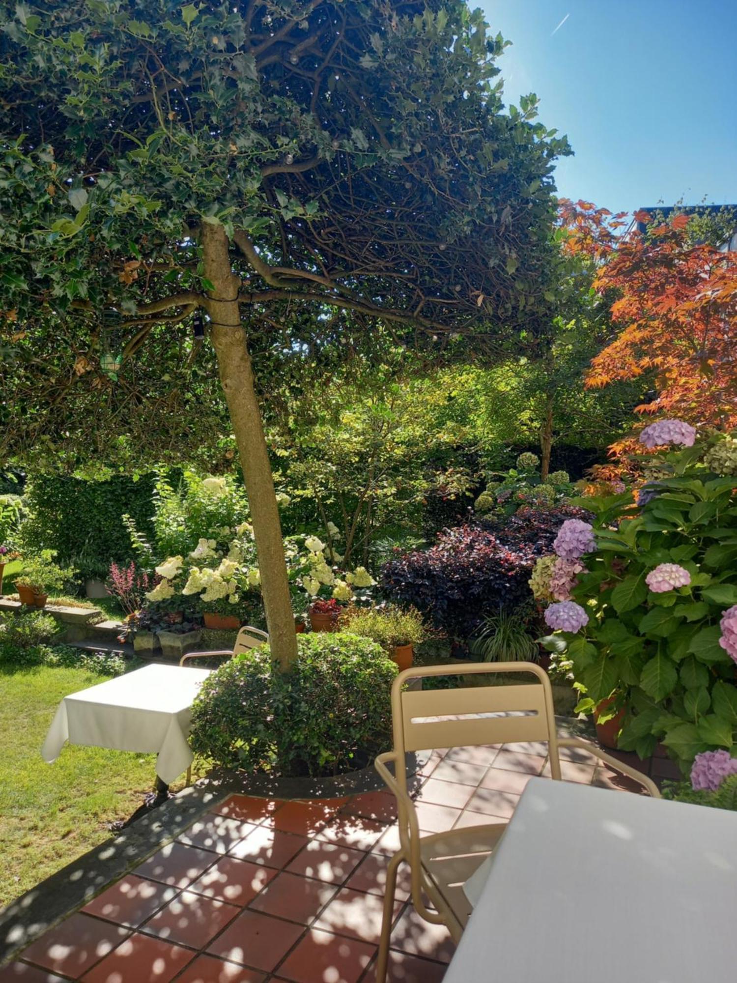 Huis Dujardin Bed&Breakfast Anvers Exterior foto