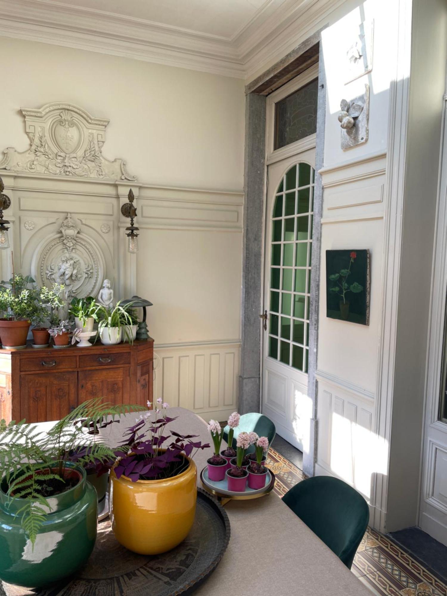 Huis Dujardin Bed&Breakfast Anvers Exterior foto